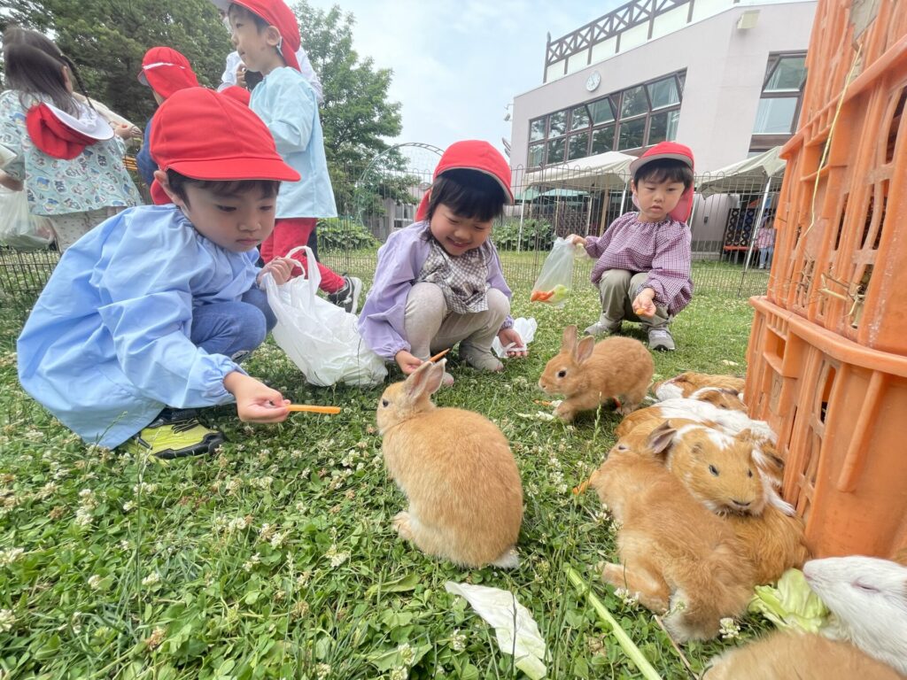 うさぎ