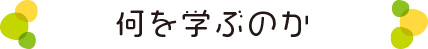 何を学ぶのか