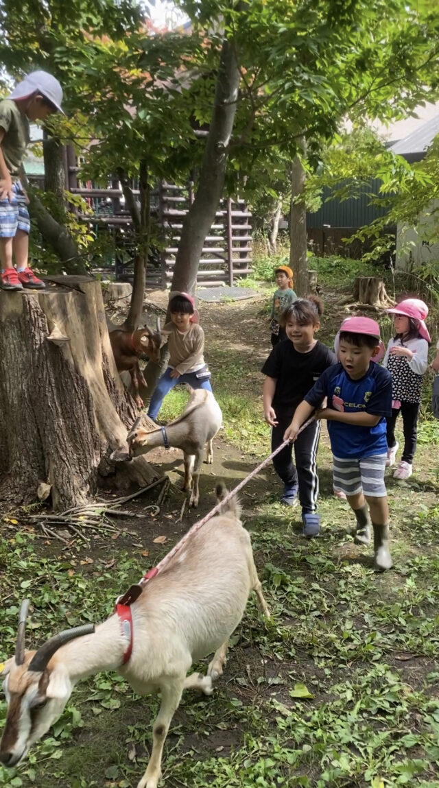 やぎさんと森の中をお散歩