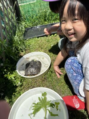 かめさんの水遊び